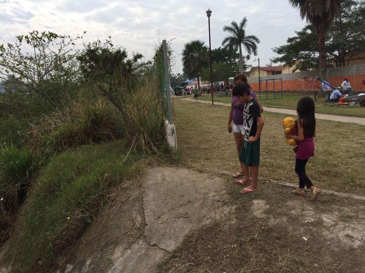 Cocodrilo acecha estudiantes de nivel primaria y preescolar