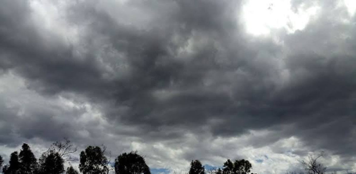 Así estará el clima hoy miércoles 14 de enero en Tamaulipas