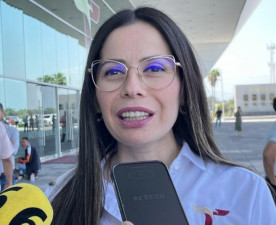 Atiene Instituto de la Mujer 16 casos de violencia vicaria