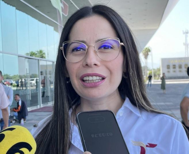 Atiene Instituto de la Mujer 16 casos de violencia vicaria