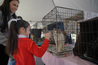 Gobierno de Nuevo Laredo invita a la feria de adopciones canina y felina