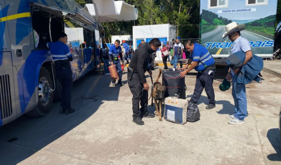 Guardia Estatal refuerza vigilancia con binomios caninos en la Central de Autobuses de Victoria