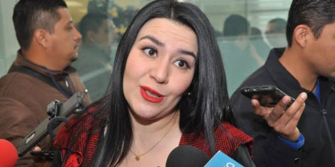 Citarán a comparecer a ex Secretaria de Bienestar