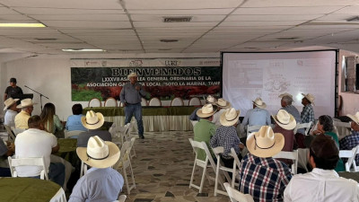 Presentan convocatoria para el “Novillo Gordo 2026”