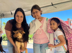 Gobierno Municipal invita a la feria de adopción canina y felina en la plaza Zaragoza