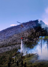 Avanza al 70 % el control del incendio forestal “Puerto del Volcán” en Miquihuana