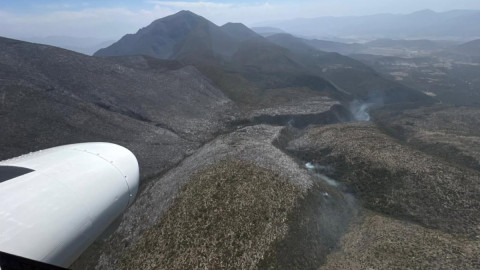 Continúan labores para el control y liquidación de incendio forestal en el Cerro El Tepozán