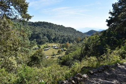 Vota por Tamaulipas en los premios: “Lo Mejor de México”