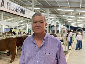 Sólido el mercado interno: El 70% de la tamaulipeca se comercializa en el estado