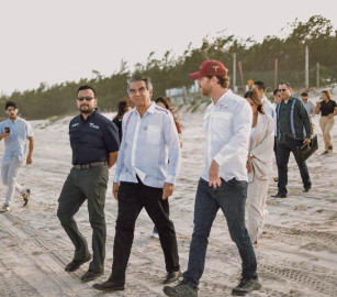 Arranca temporada de la tortuga lora en playa Tepehuajes