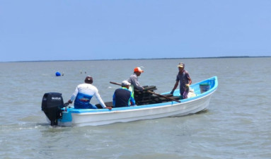 Refuerzan acciones para el crecimiento sostenible del ostión en Aldama