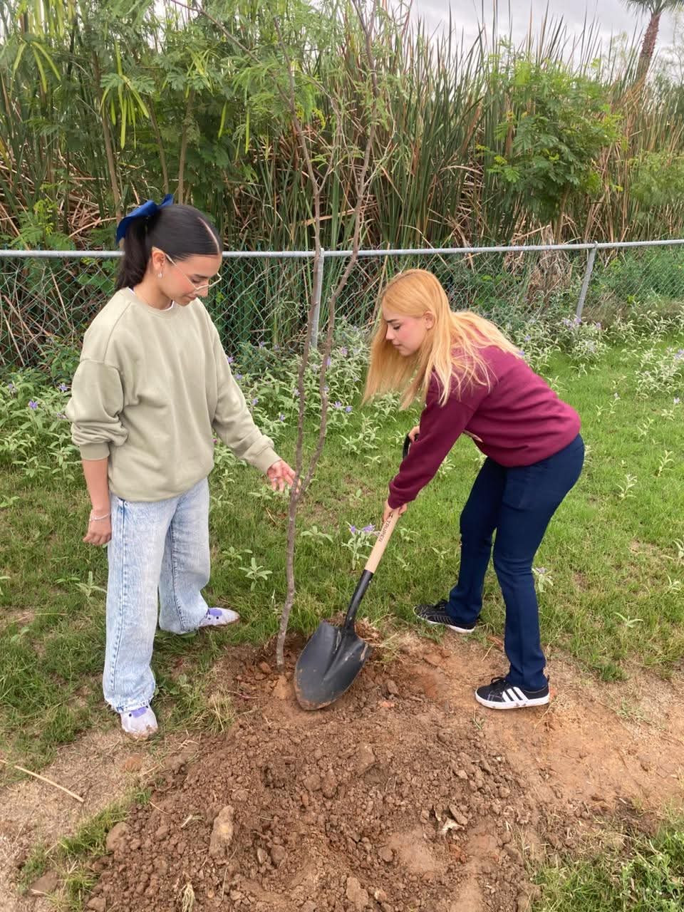 Reforestan "El Laguito" con más de 300 árboles por el Día de la Tierra