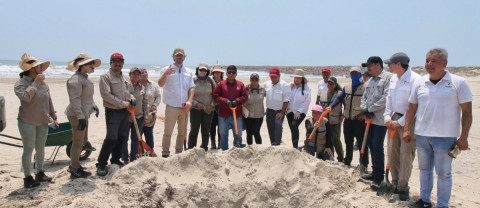 Refuerzan limpieza de playas en Tamaulipas para proteger costas