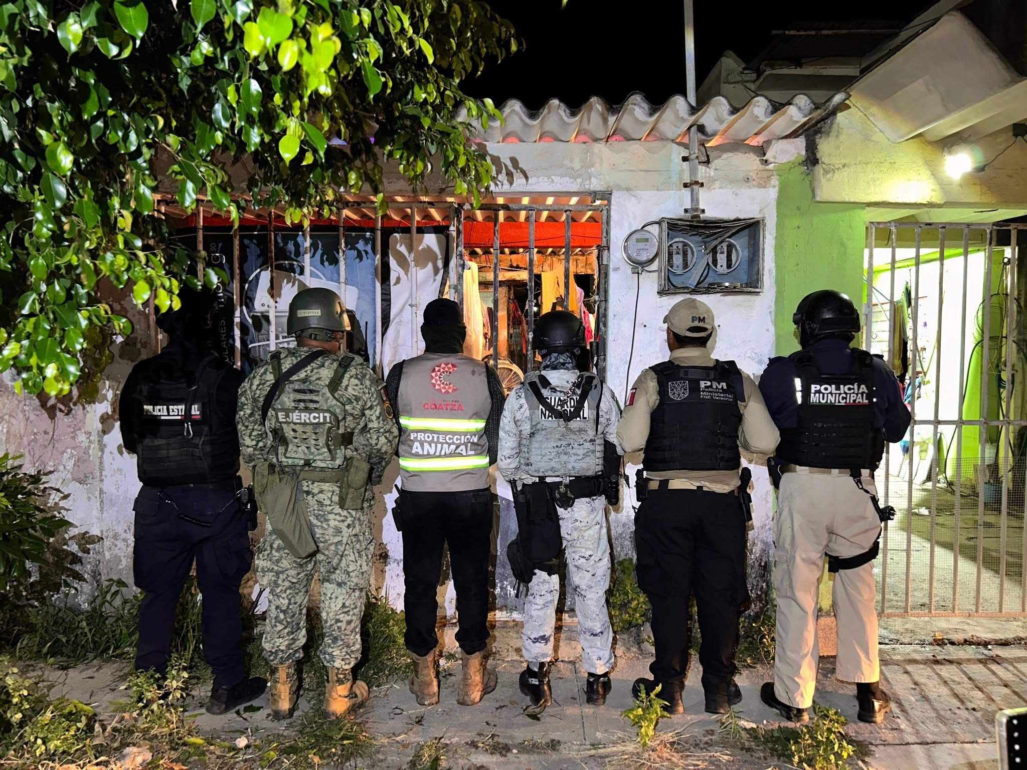 Rescatan a 42 perros en condiciones de maltrato en Coatzacoalcos, Veracruz