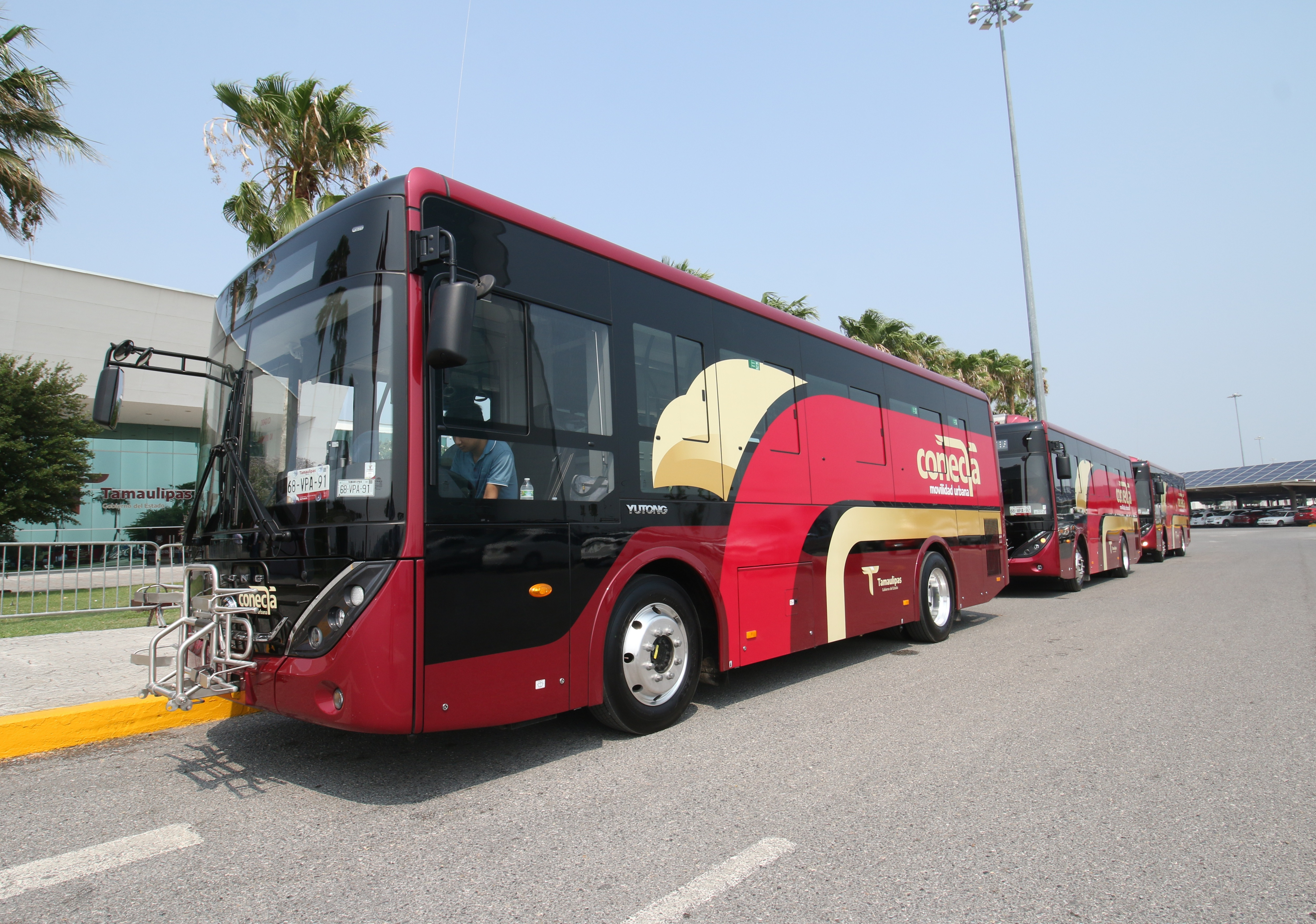 Victoria estrena transporte público gratuito con autobuses híbridos y tecnología inteligente