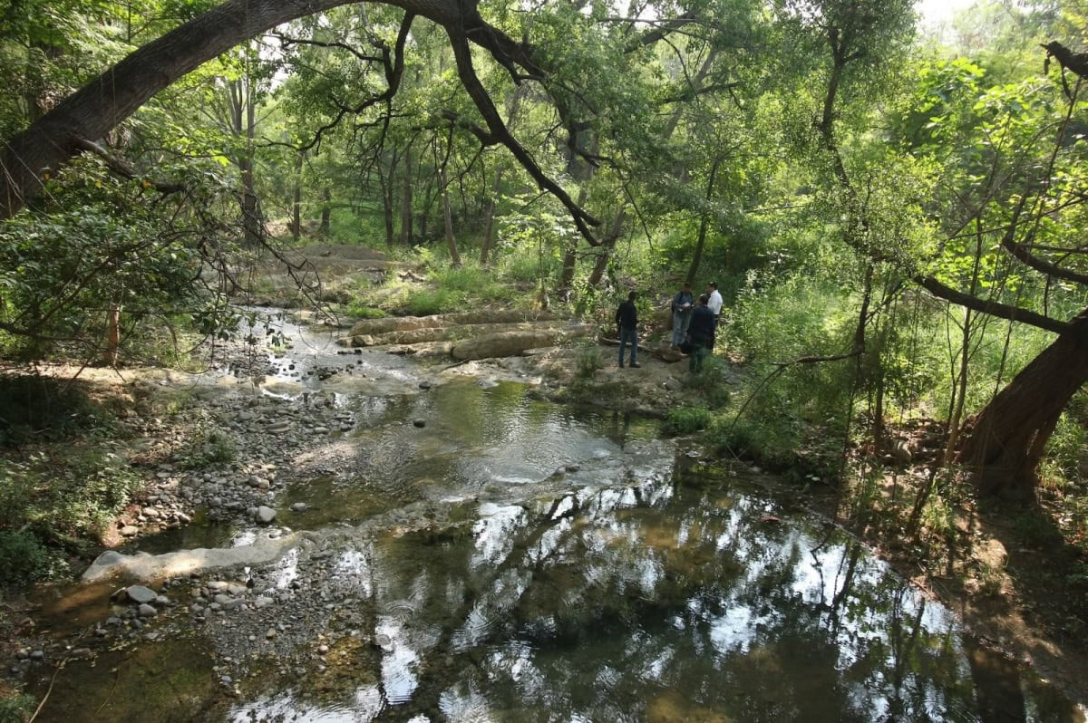 Realiza Gobierno de Tamaulipas diagnóstico ambiental en el río San Marcos