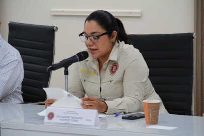 Avanza iniciativa para revisar aceras amarillas y fortalecer la señalización vial