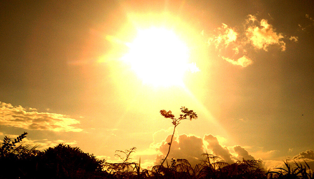 Alerta Gobierno de Reynosa, por altas temperaturas