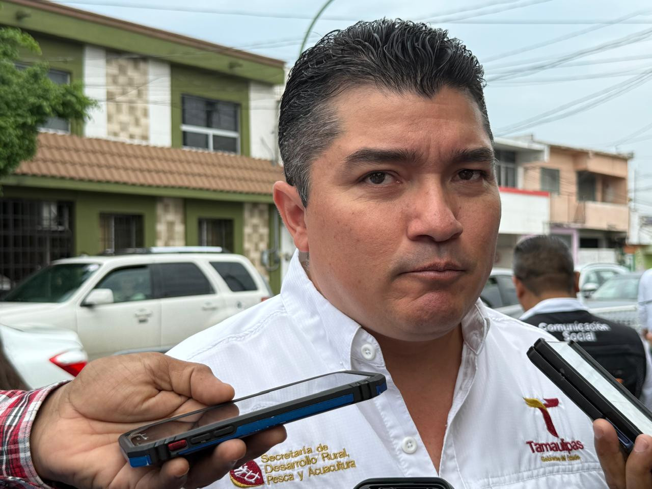 Gusano barrenador retrocede en Tamaulipas: casos activos caen casi 40% en un mes