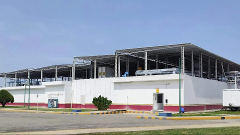Secretaria de Agricultura de EU visitará México; inaugurará planta de moscas estériles