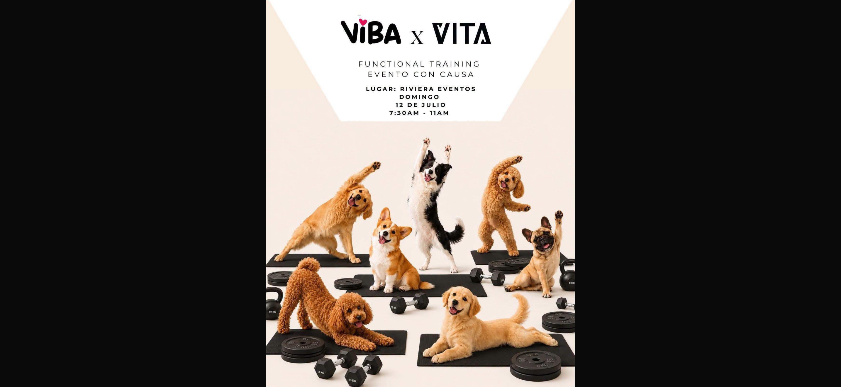 “Move for Paws” unirá ejercicio, adopciones y esterilizaciones en favor del bienestar animal