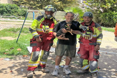 Ejército mexicano rescata con vida a "Sarita", perrita atrapada tras sismo en Venezuela