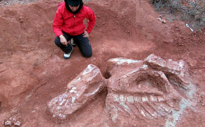 Hallan restos de dinosaurios en Argentina