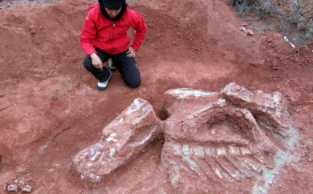 Hallan restos de dinosaurios en Argentina
