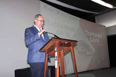 Proyecta Tamaulipas liderazgo nacional en conservación de tortuga lora