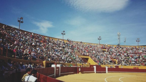 Presentan las corridas de toros de Avila con la “Nueva Normalidad”