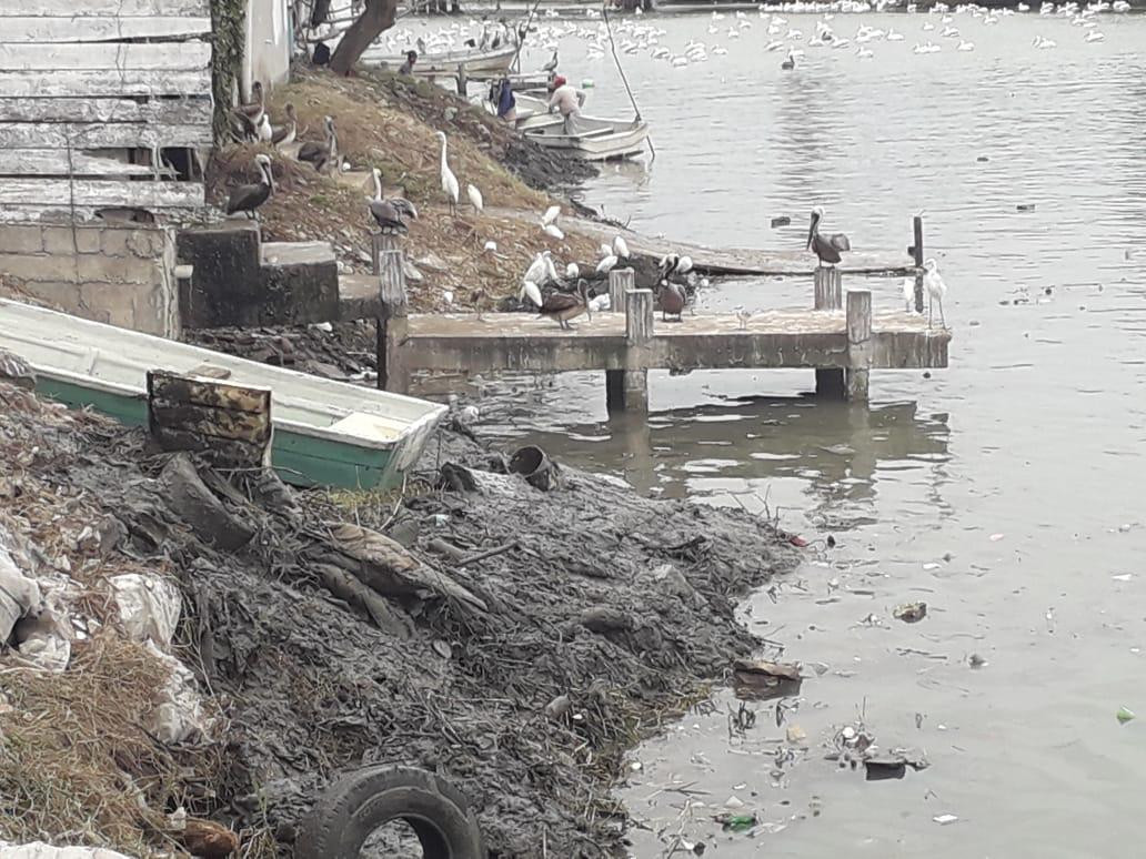 Más de 35 mil toneladas de basura extraen del margen de la Laguna del Chairel 