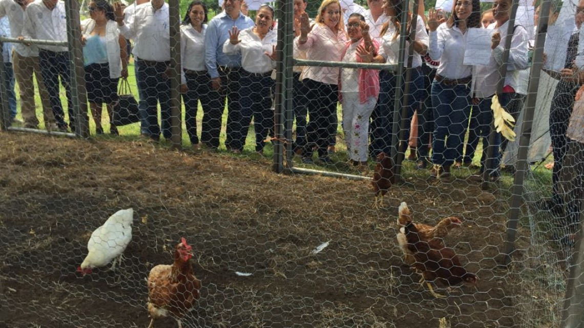 ⁠⁠⁠Entregan equipos para la creación de huertos