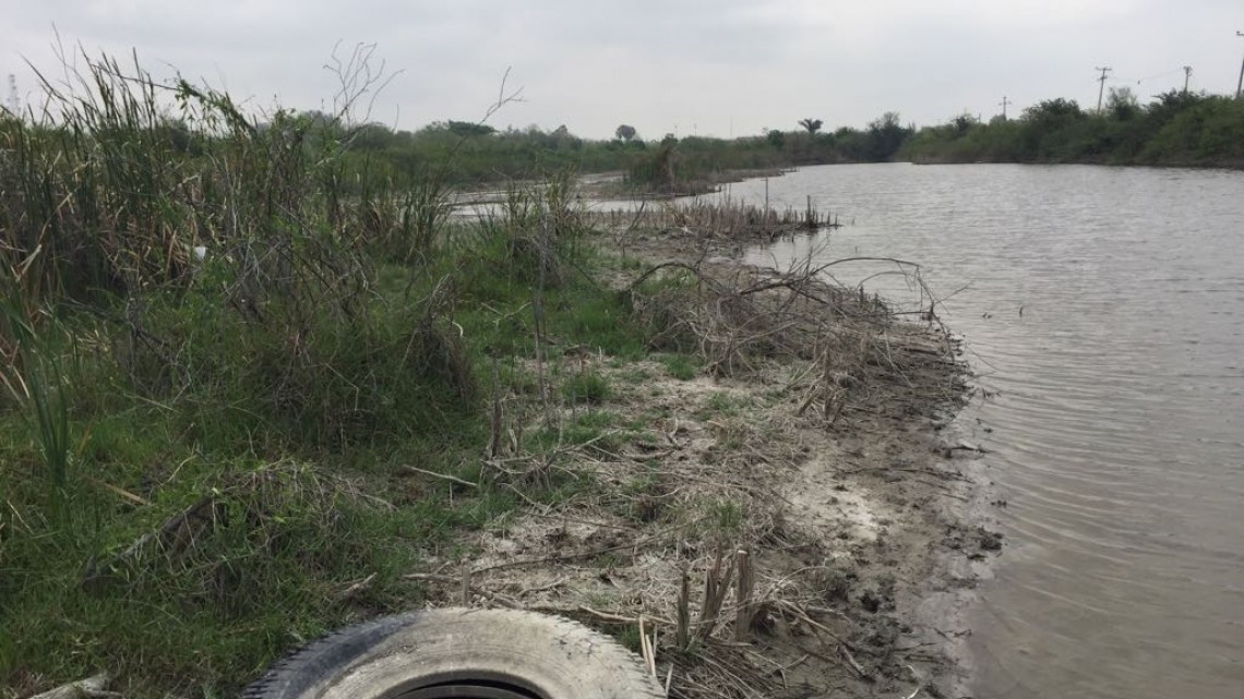 La falta de lluvias podría afectar el sector ganadero