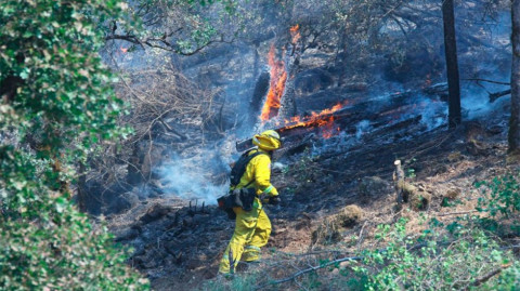 Más de 4 mil personas son evacuadas en California por incendio forestal