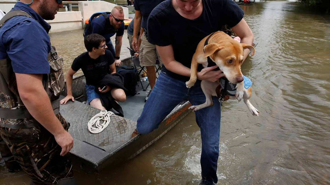 Comienza EU rescate de mascotas victimas de ‘Harvey’