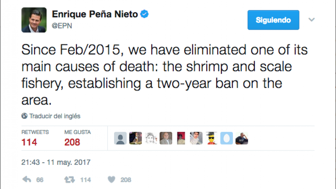 Responde EPN a Di Caprio sobre extinción de vaquita marina