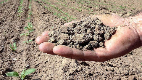 Crisis por sequía agravan situación del campo