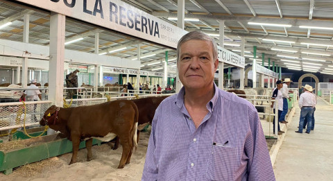 Favorecen lluvias a ganaderos