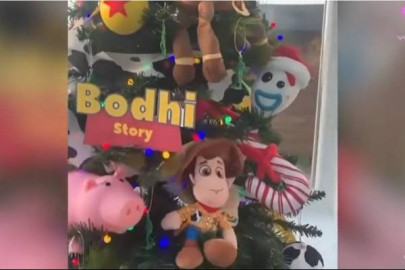  Mujer crea un árbol de Navidad con temática Toy Story