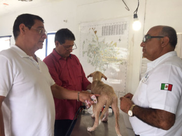 Alerta el sector salud por la presencia de "Giardia"