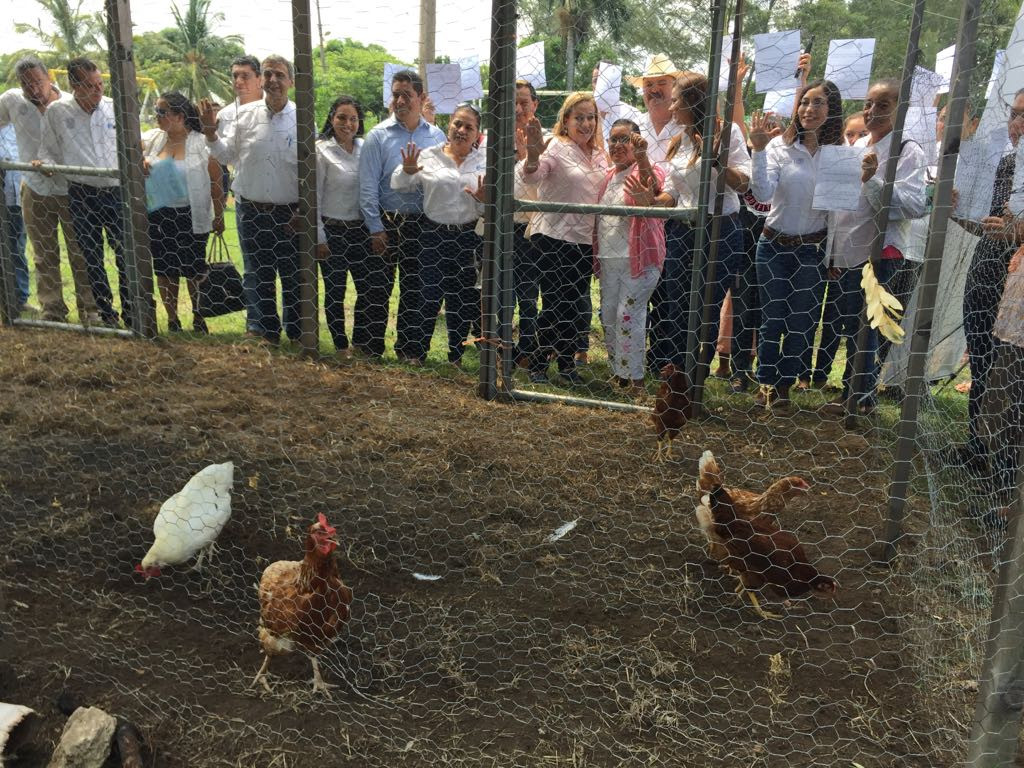 ⁠⁠⁠Genera conflictos elección de dirigente de la junta local de sanidad vegetal