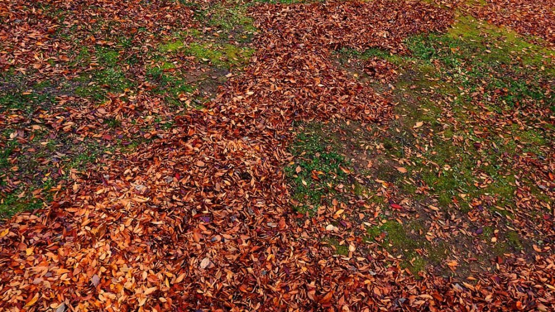 Obras de arte con hojas caídas en Japón
