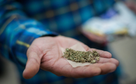 Organizaciones respaldan plan pacificador de AMLO y despenalización de las drogas