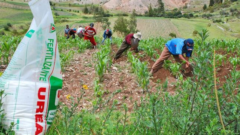 Gobierno regalará fertilizante a 2 millones de campesinos antes de mayo