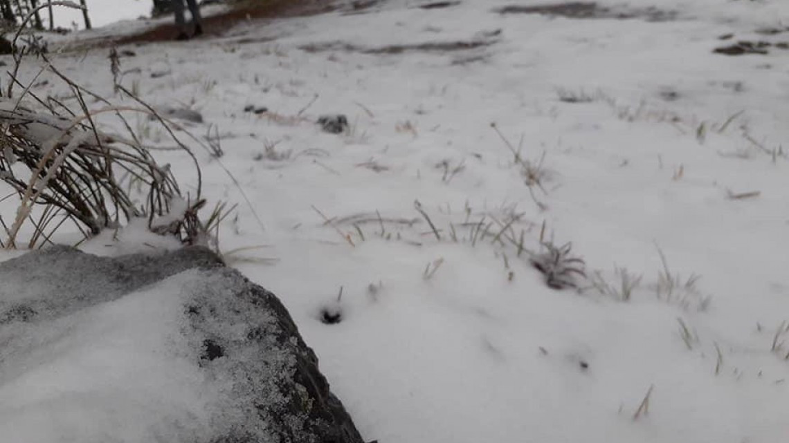 Se registra la primera nevada en Miquihuana