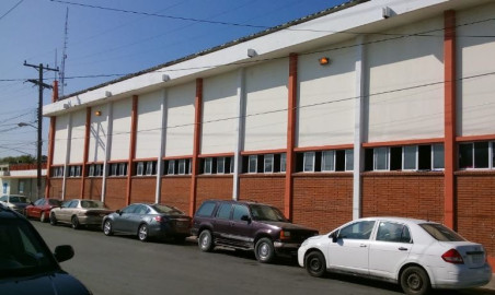 Reinician actividad deportiva en el gimnasio de la Alberca Chávez