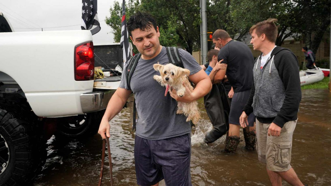Comienza EU rescate de mascotas victimas de ‘Harvey’