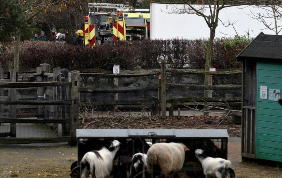 Registran gran incendio en el zoológico de Londres