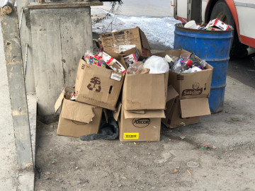 Carretoneros aprovechan falta de camiones recolectores