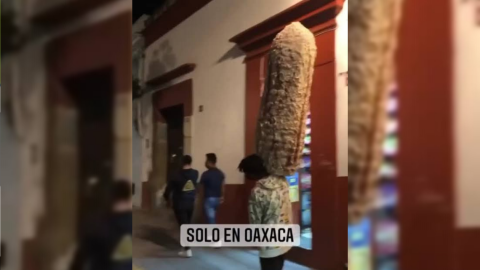 Elotes gigantes de Oaxaca son la sensación en redes